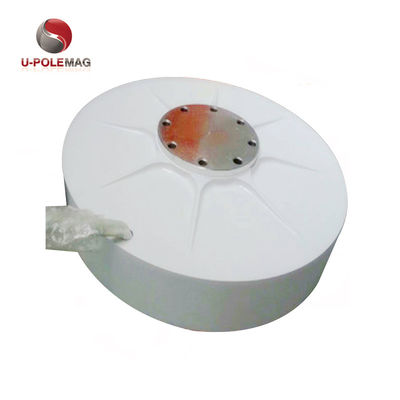 Imán de tierras raras para generador de viento de rotor interno AFPMG520-1.0KW/90RPM personalizado