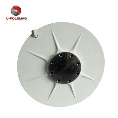 Imán de tierras raras para generador de viento de rotor interno AFPMG520-1.0KW/90RPM personalizado